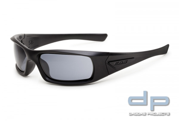 ESS 5B Sonnenbrille (Black Frame Smoke Gray Lenses)