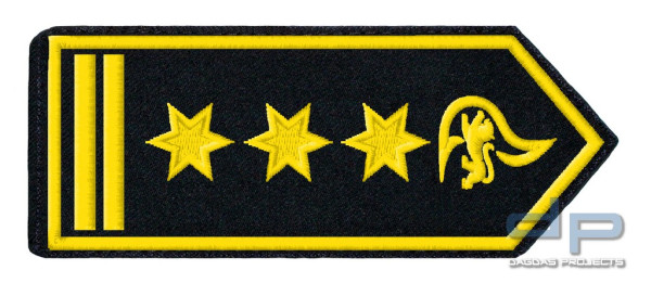 Schulterklappenpaar Feuerwehr, Baden-Württemberg Branddirektor/-in (A15) als stv. Fw-Kdt
