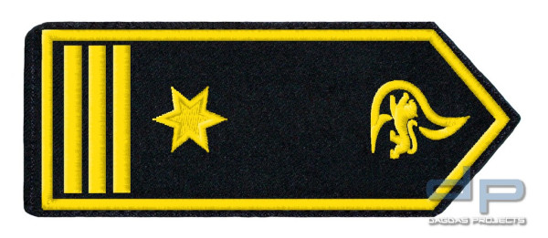 Schulterklappenpaar Feuerwehr, Baden-Württemberg Brandrätin/-rat (A13) als Fw-Kdt