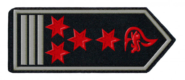 SCHULTERKLAPPENPAAR FEUERWEHR, BADEN-WÜRTTEMBERG ERSTE/R HAUPTBRANDMEISTER/-IN (A10) ALS FW.-KDT