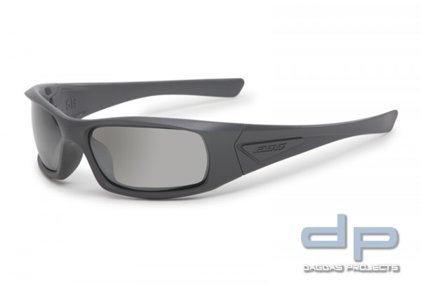 ESS 5B Sonnenbrille (Gray Frame Mirrored Gray Lenses)