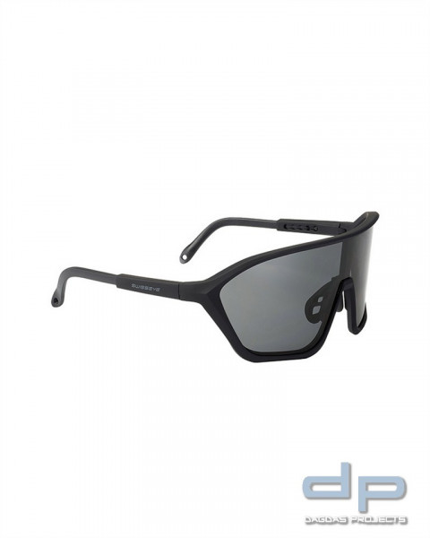 SCHUTZBRILLE SWISS EYE® DEVIL SCHWARZ VPE 2