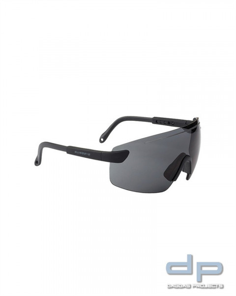 SCHUTZBRILLE SWISS EYE® DEFENSE SCHWARZ VPE 2